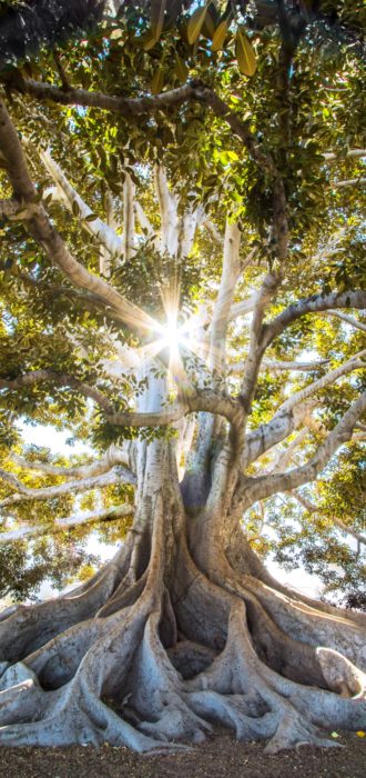 jeremy-bishop-EwKXn5CapA4-unsplash jeremy-bishop-EwKXn5CapA4-unsplash